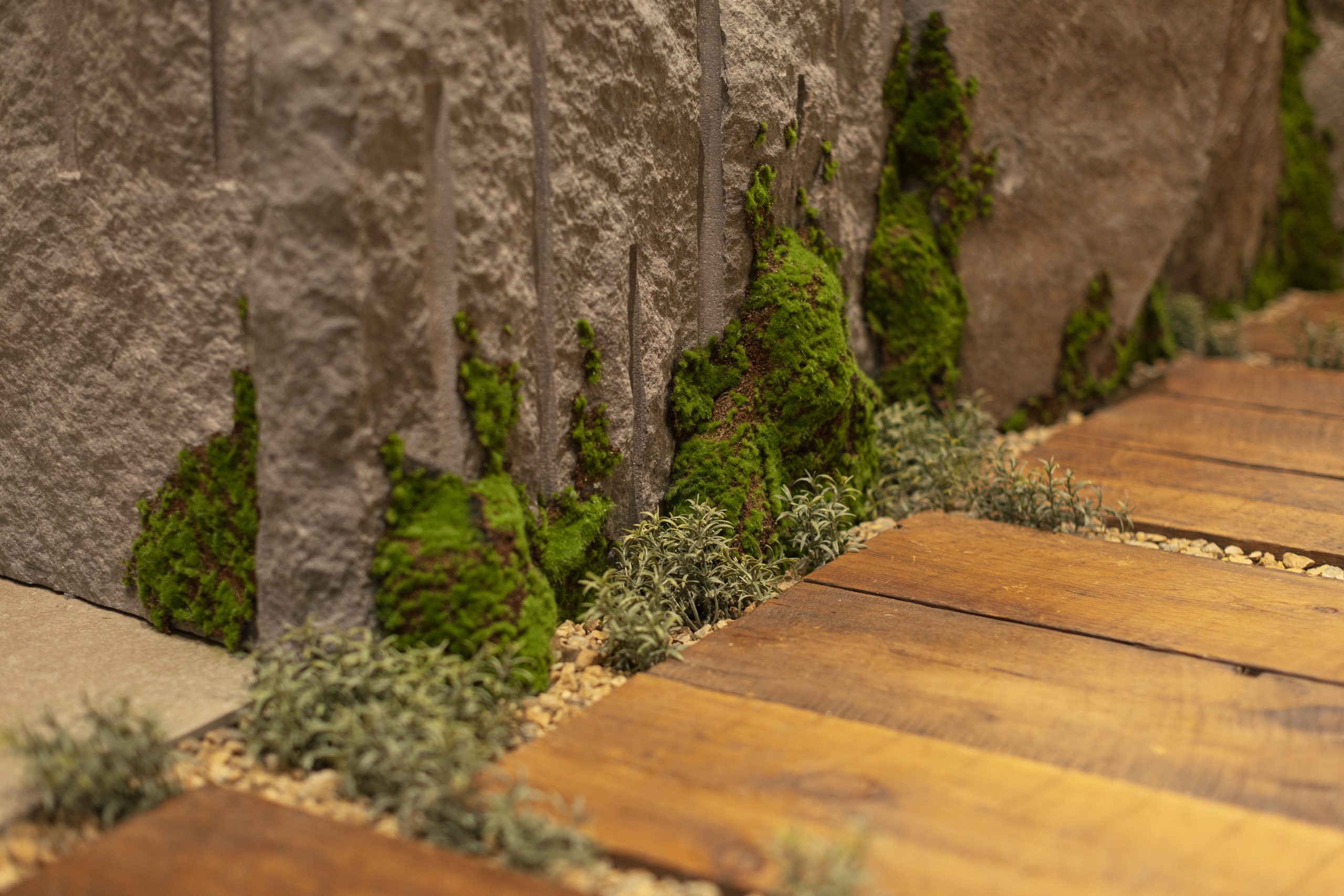 20250318_025.jpg のコピー